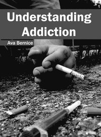 bokomslag Understanding Addiction