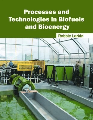 Robbie Larkin - Processes and Technologies in Biofuels and Bioenergy, Inbunden