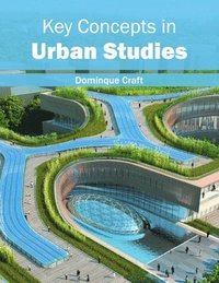 bokomslag Key Concepts in Urban Studies