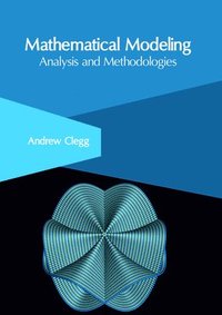 bokomslag Mathematical Modeling: Analysis and Methodologies