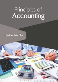 bokomslag Principles of Accounting