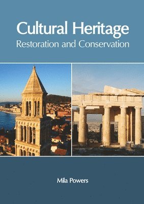 bokomslag Cultural Heritage: Restoration and Conservation