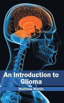 Matthew Martin - Introduction to Glioma, Inbunden