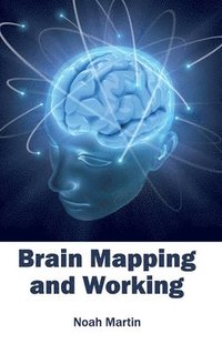 bokomslag Brain Mapping and Working