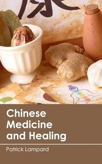 bokomslag Chinese Medicine and Healing