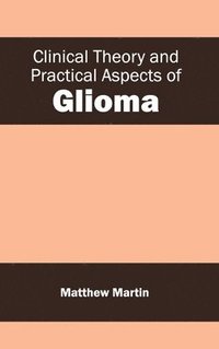bokomslag Clinical Theory and Practical Aspects of Glioma