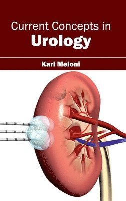 bokomslag Current Concepts in Urology