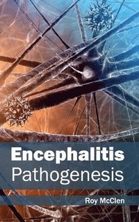 bokomslag Encephalitis: Pathogenesis