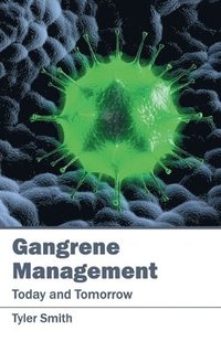 bokomslag Gangrene Management: Today and Tomorrow