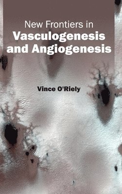 New Frontiers in Vasculogenesis and Angiogenesis 1