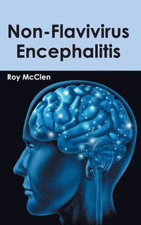 bokomslag Non-Flavivirus Encephalitis