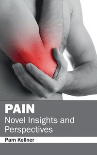 bokomslag Pain: Novel Insights and Perspectives