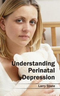 bokomslag Understanding Perinatal Depression