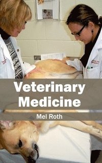 bokomslag Veterinary Medicine