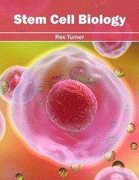 bokomslag Stem Cell Biology