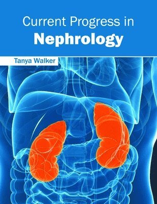 bokomslag Current Progress in Nephrology