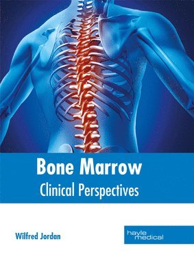 Bone Marrow: Clinical Perspectives