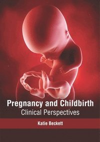bokomslag Pregnancy and Childbirth: Clinical Perspectives