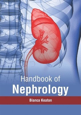 bokomslag Handbook of Nephrology