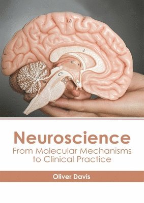 bokomslag Neuroscience: From Molecular Mechanisms to Clinical Practice