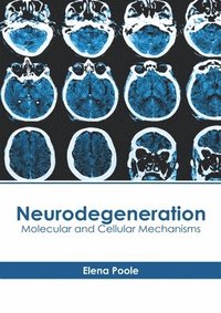 bokomslag Neurodegeneration: Molecular and Cellular Mechanisms