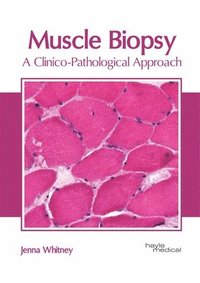 bokomslag Muscle Biopsy: A Clinico-Pathological Approach