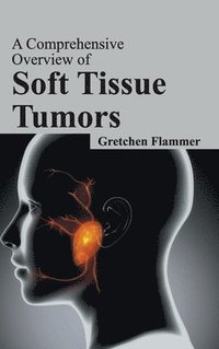 bokomslag Comprehensive Overview of Soft Tissue Tumors