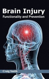 bokomslag Brain Injury: Functionality and Prevention