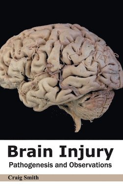 bokomslag Brain Injury: Pathogenesis and Observations