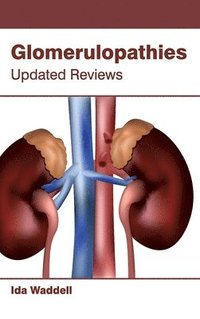 bokomslag Glomerulopathies: Updated Reviews