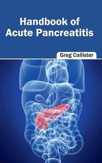 bokomslag Handbook of Acute Pancreatitis