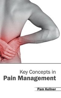 bokomslag Key Concepts in Pain Management