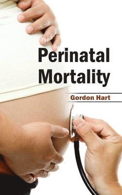 bokomslag Perinatal Mortality