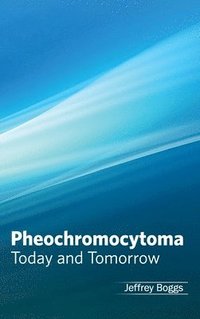 bokomslag Pheochromocytoma: Today and Tomorrow