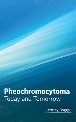 bokomslag Pheochromocytoma: Today and Tomorrow