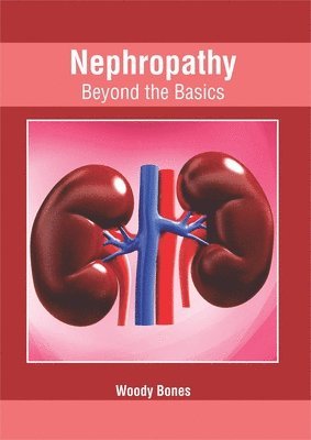 bokomslag Nephropathy: Beyond the Basics