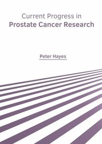 bokomslag Current Progress in Prostate Cancer Research