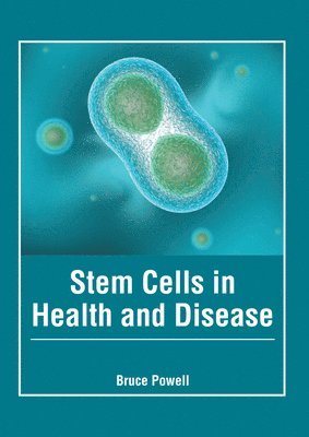bokomslag Stem Cells in Health and Disease