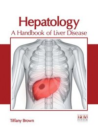 bokomslag Hepatology: A Handbook of Liver Disease
