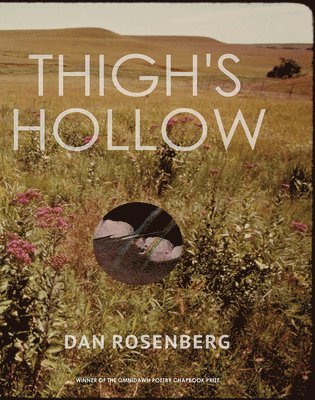 Dan Rosenberg - Thigh's Hollow, Häftad
