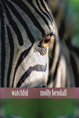 Molly Bendall - Watchful, Häftad
