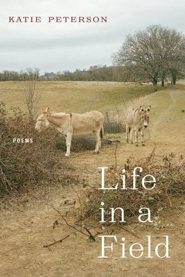 bokomslag Life in a Field - Poems