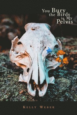 bokomslag You Bury the Birds in My Pelvis