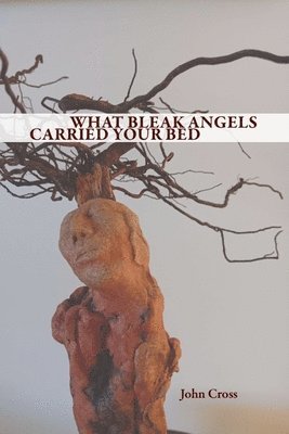 John Cross - What Bleak Angels Carried Your Bed, Häftad
