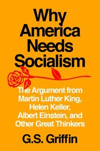 bokomslag Why America Needs Socialism