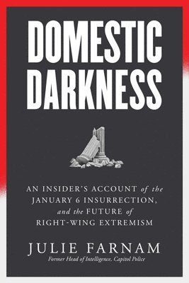 bokomslag Domestic Darkness