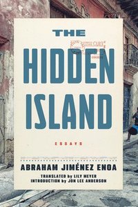 bokomslag Hidden Island