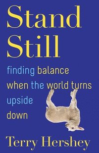 bokomslag Stand Still: Finding Balance When the World Turns Upside Down