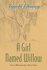 bokomslag Girl Named Willow