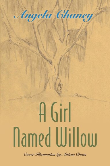 bokomslag Girl Named Willow